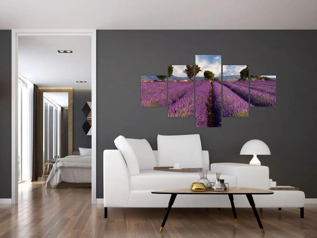 Obraz - Pole lawendy i góry (125x70 cm)