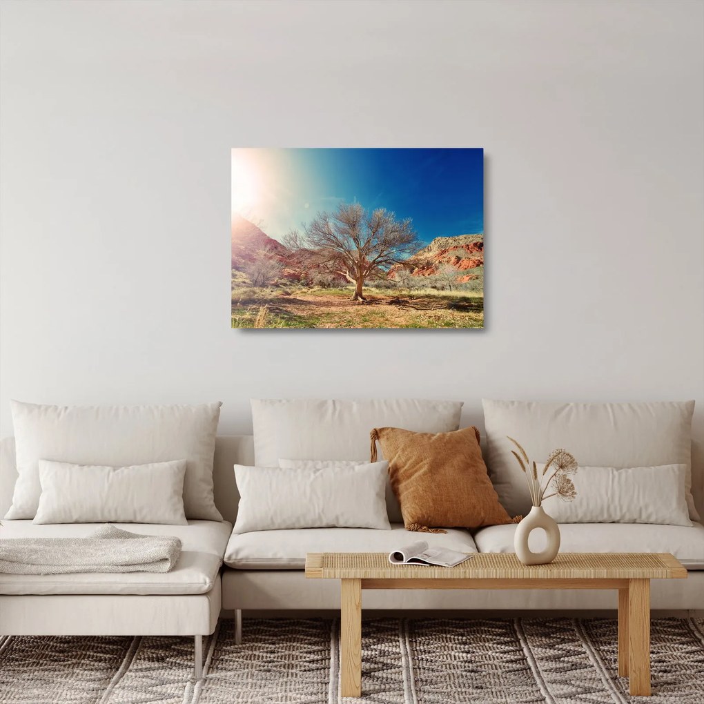 Obraz na szkle drzewa na pustyni (70x50 cm)