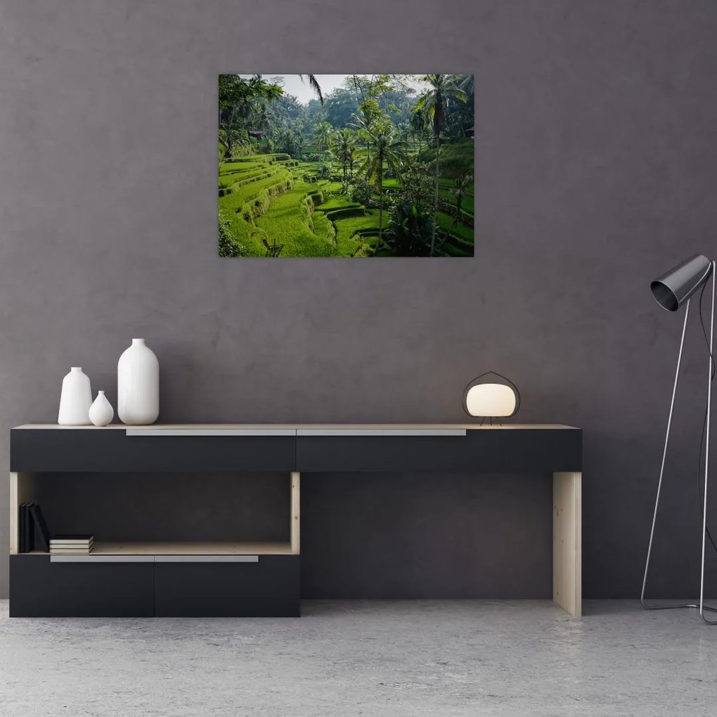 Obraz tarasów ryżowych Tegalalang, Bali (70x50 cm)