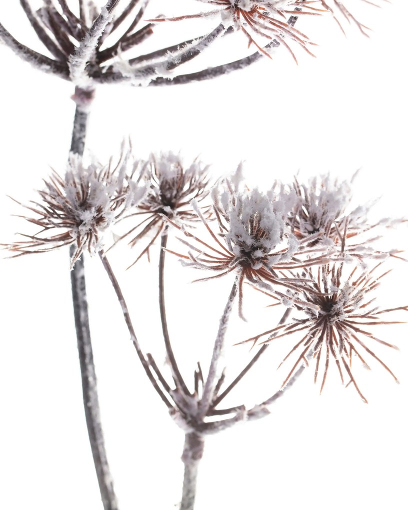 Gałązka Thistle white 100cm