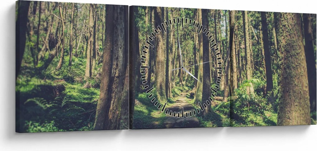 Obraz ścieżki pomiędzy drzewami (z zegarem) (90x30 cm)