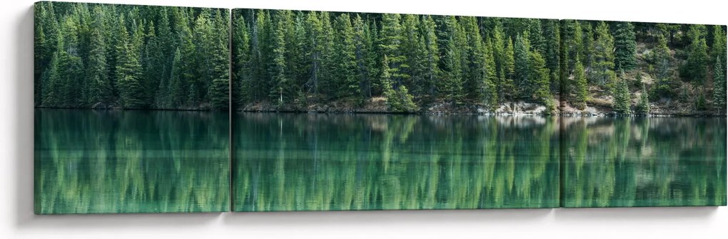 Obraz - drzewa iglaste nad jeziorem (170x50 cm)