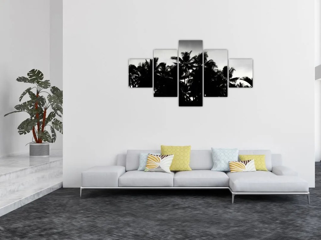 Obraz czarno - biały - palmy (125x70 cm)