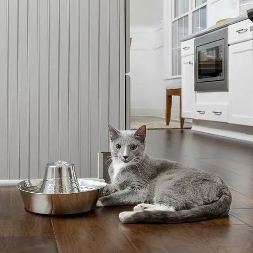 PetSafe® Seaside Fontanna ze stali nierdzewnej 1,8l