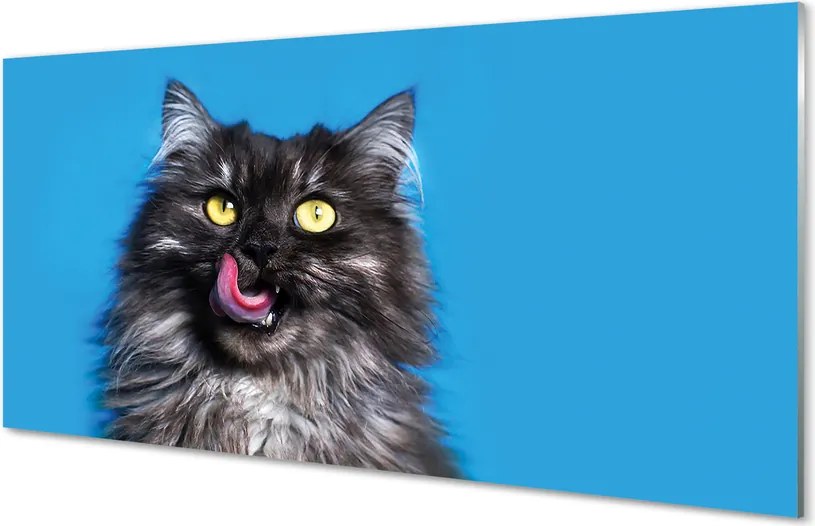 Panel szklany do Kuchni Smakowita Chwila Kota