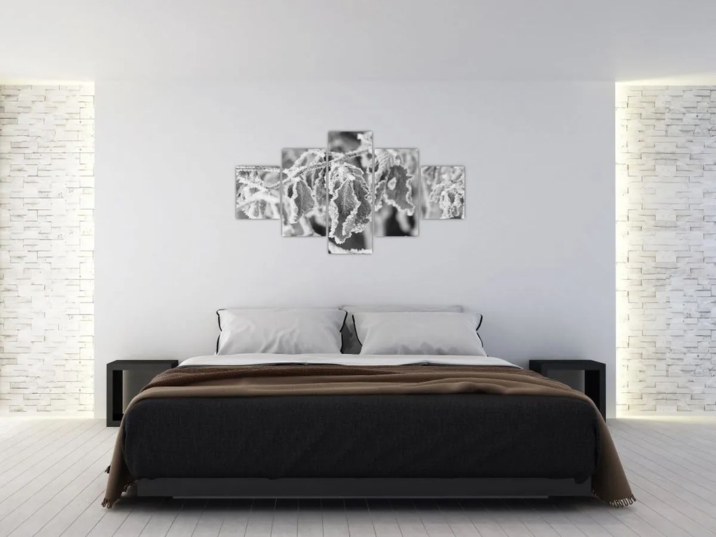 Obraz - Zmarznięte liście, czarno - biały (125x70 cm)