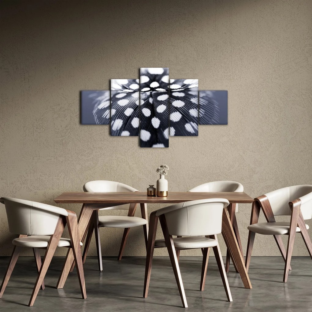 Obraz - Piórko (125x70 cm)