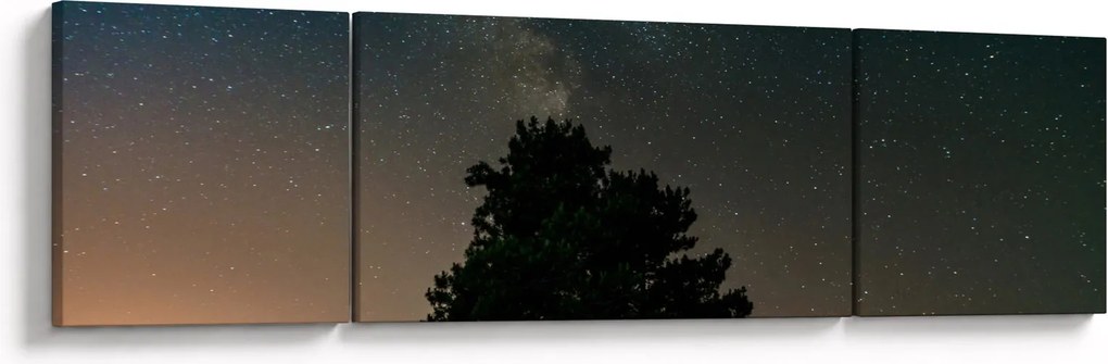 Obraz nocnego nieba z drzewami (170x50 cm)