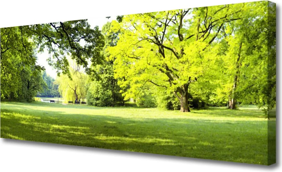 Obraz canvas Parkowa Aleja w Słońcu
