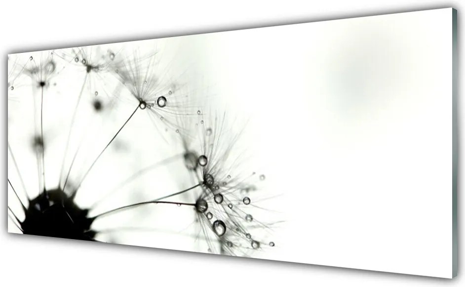 Panel Kuchenny Puszysta Kula Mniszka