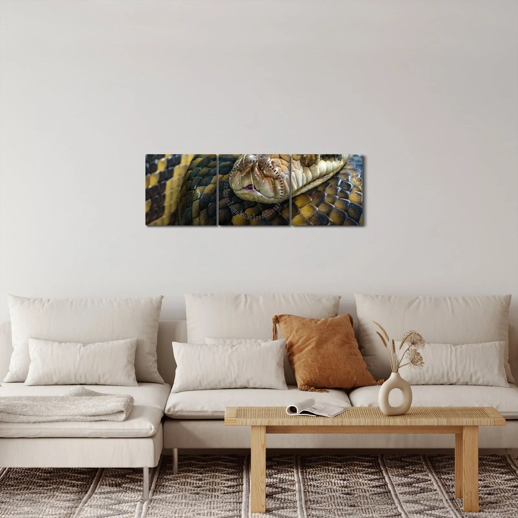 Obraz - Pyton (z zegarem) (90x30 cm)