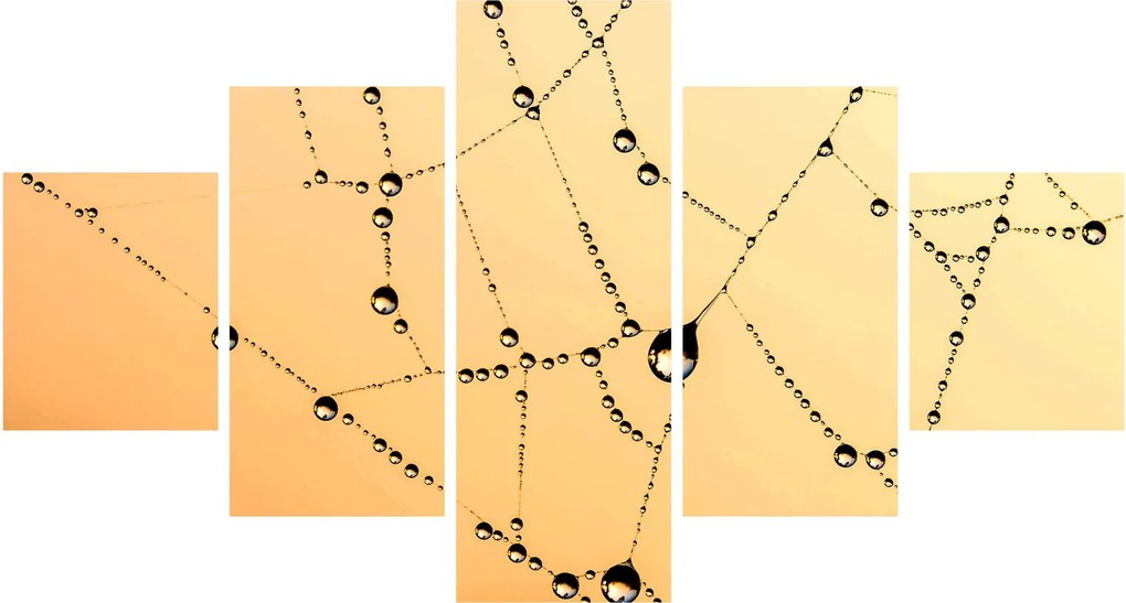 Obraz zroszonej pajęczyny (125x70 cm)
