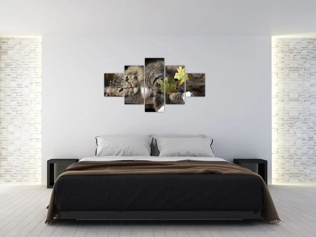 Obraz - Leżący kot (125x70 cm)