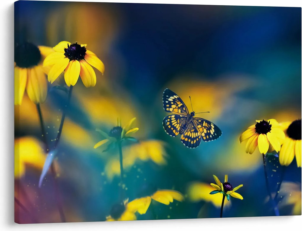 Obraz - Żółty motyl z kwiatami (70x50 cm)
