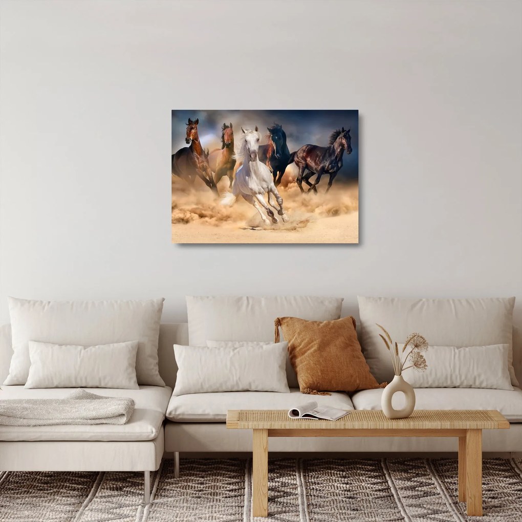 Obraz na szkle - Konie na pustyni (70x50 cm)
