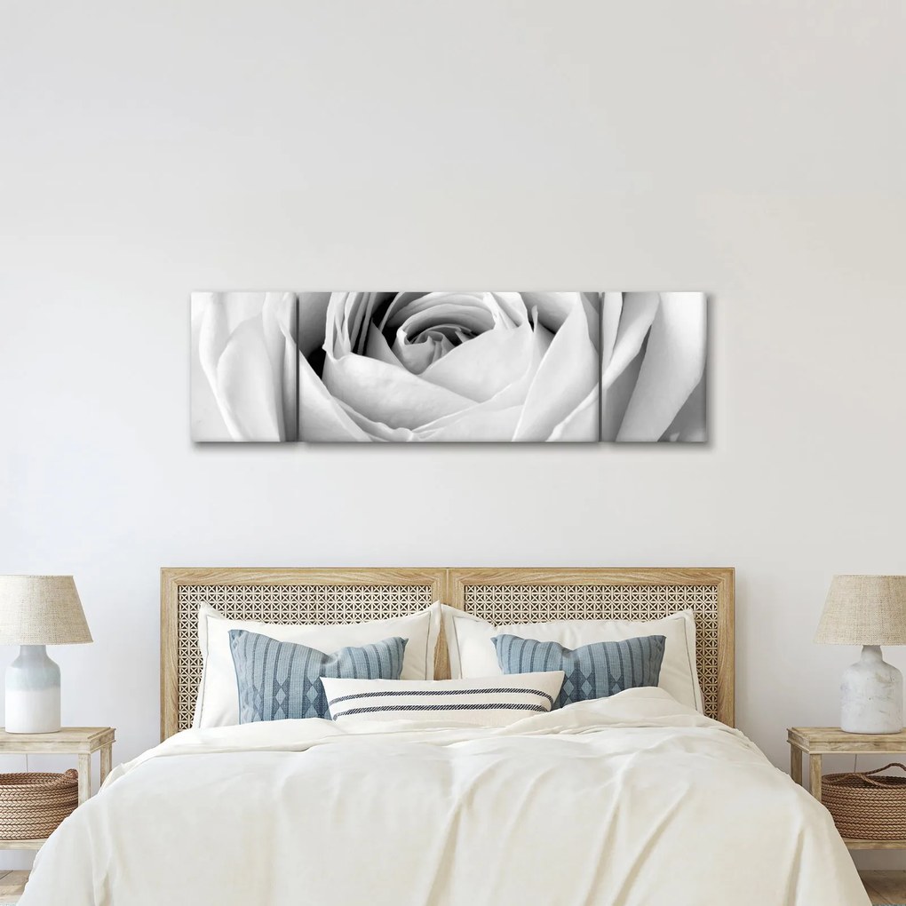 Obraz - Detal kwiatu róży (170x50 cm)