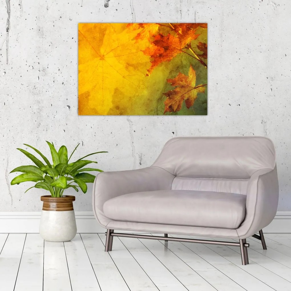 Obraz - Jesienne liście (70x50 cm)