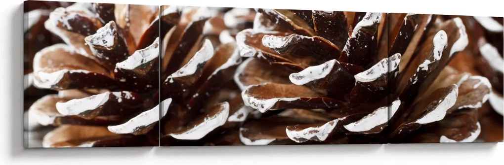 Obraz - Pączki (170x50 cm)