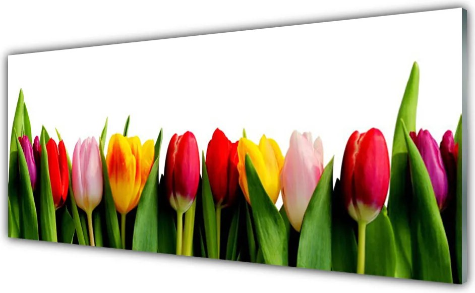 Panel nad blat kuchenny Pąki Tulipanów W Ogrodzie