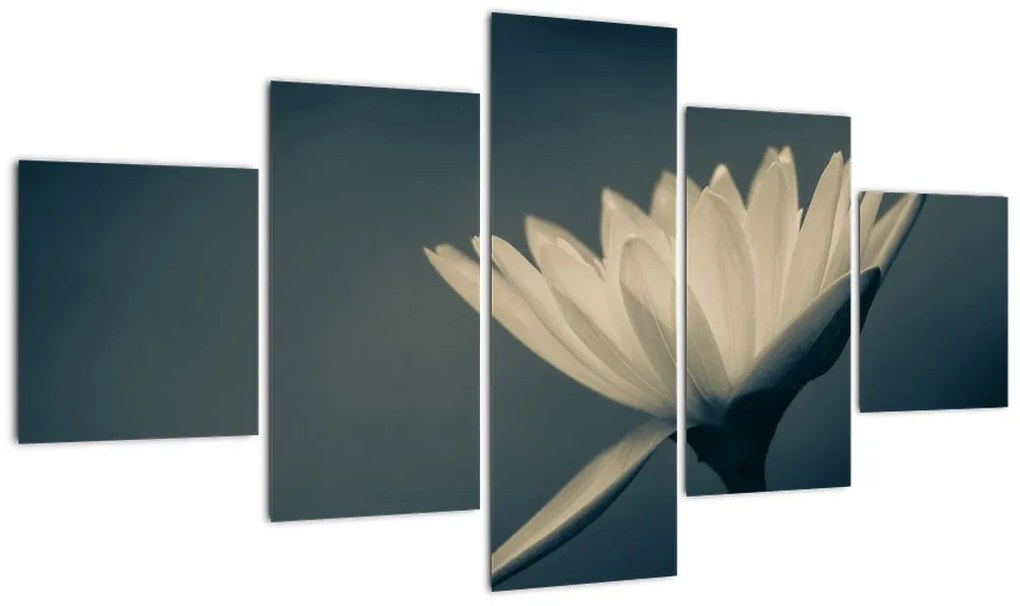 Obraz kwiatu (125x70 cm)