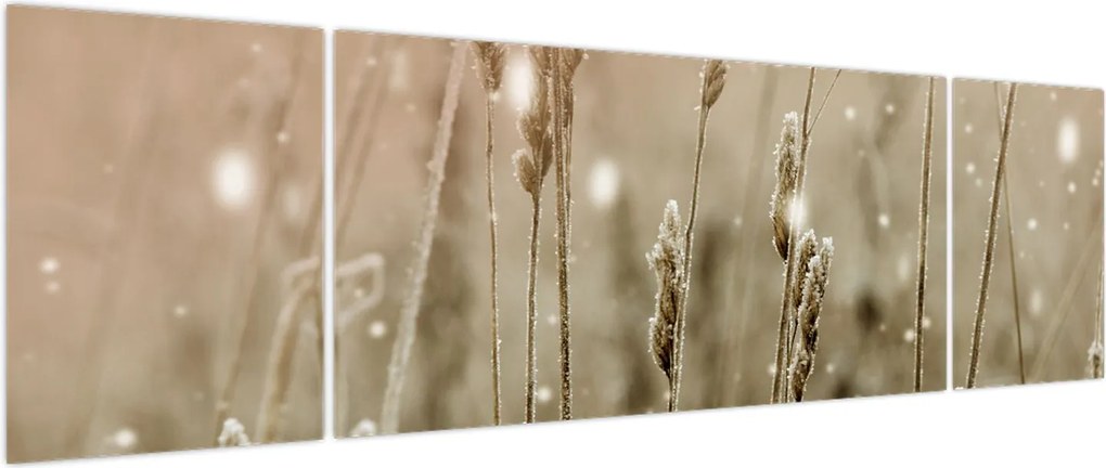 Obraz - Harmonious Meadow (170x50 cm)