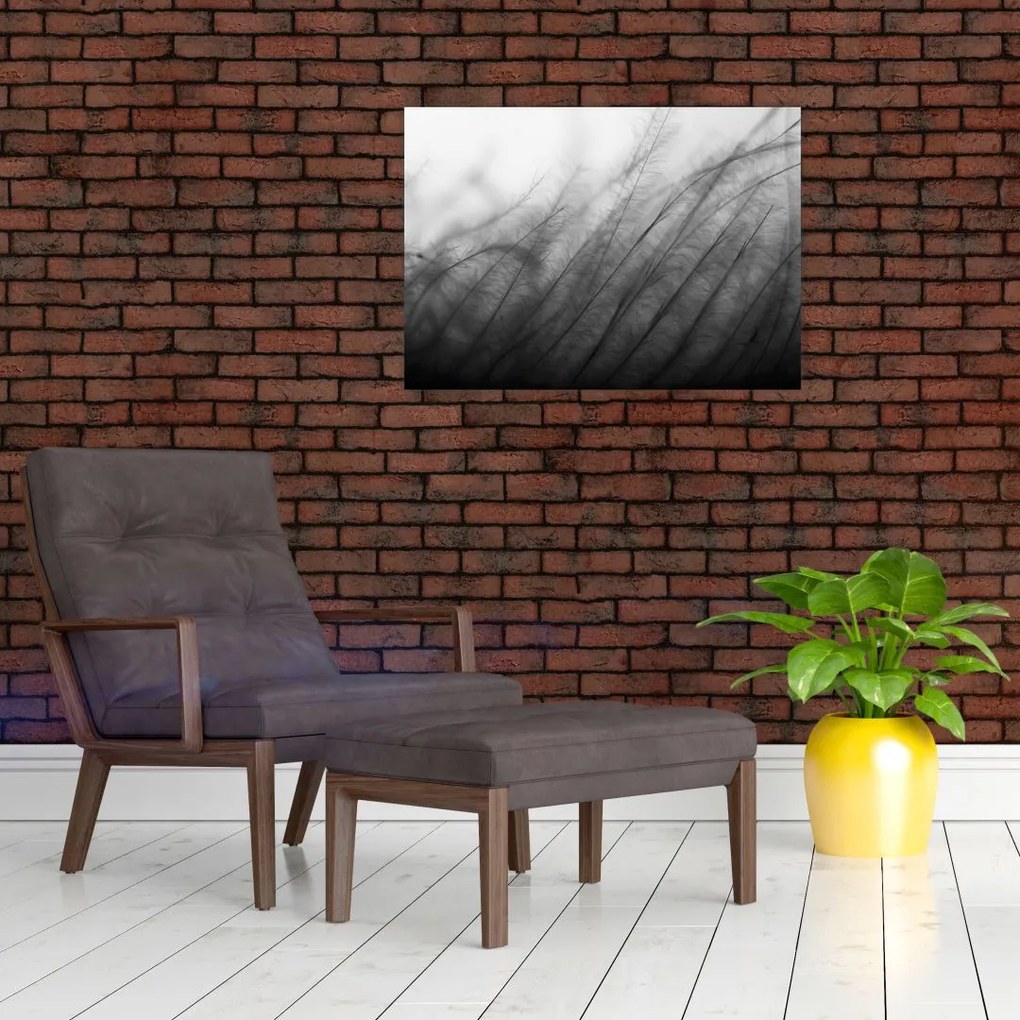 Obraz - Trawa na wietrze (70x50 cm)