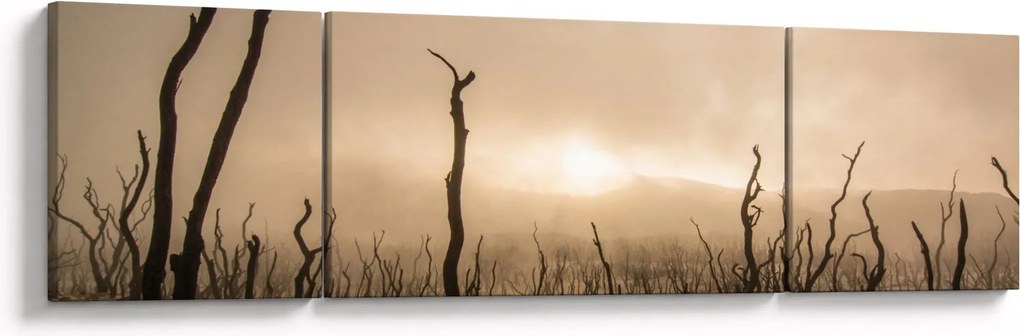 Obraz - Nagie drzewa (170x50 cm)
