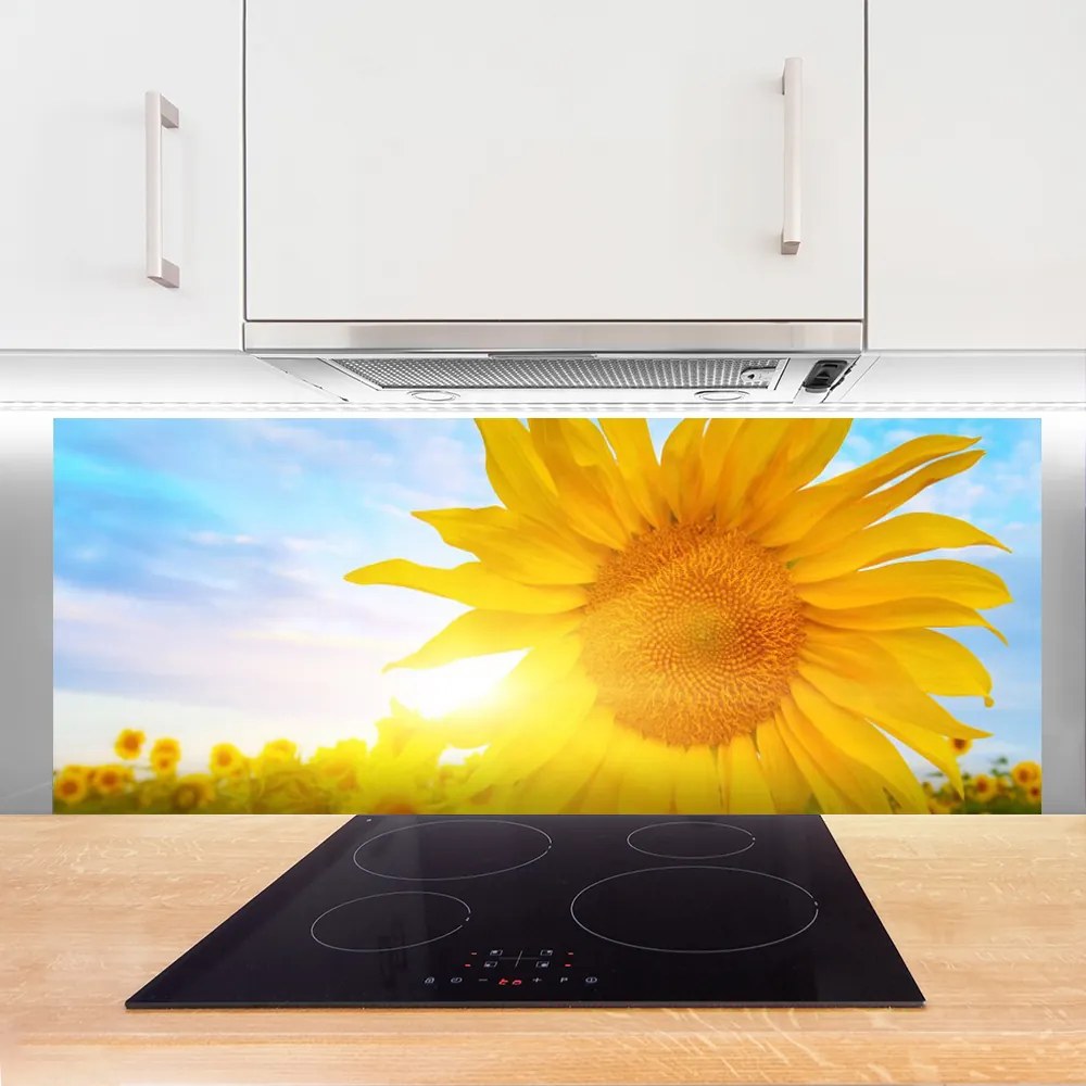 Panel Szklany Słonecznik w Pełnym Rozkwicie