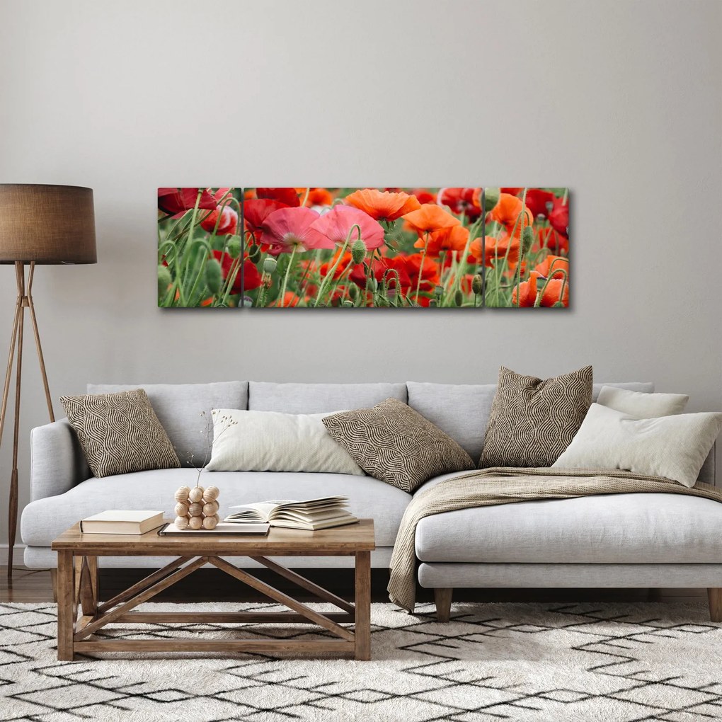 Obraz pola maków (170x50 cm)