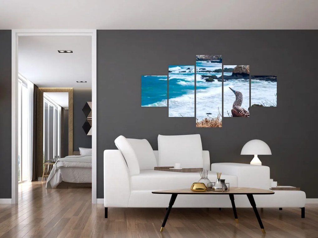 Obraz - głuptak niebieskonogi (125x70 cm)