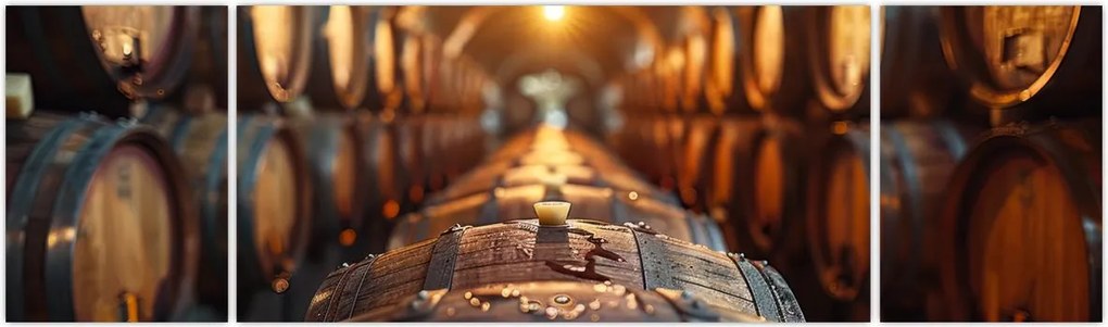 Obraz - Piwniczka na wino (170x50 cm)