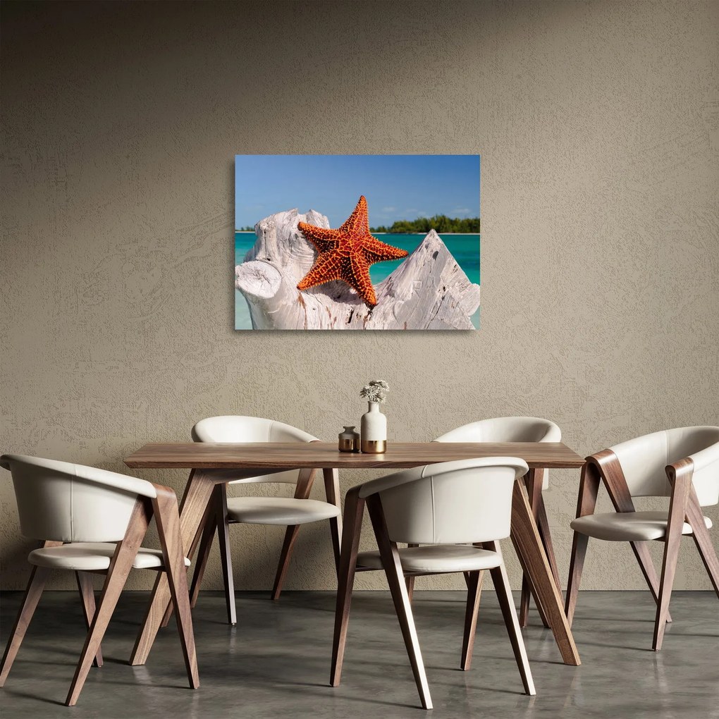 Obraz na szkle - rozgwiazda (70x50 cm)