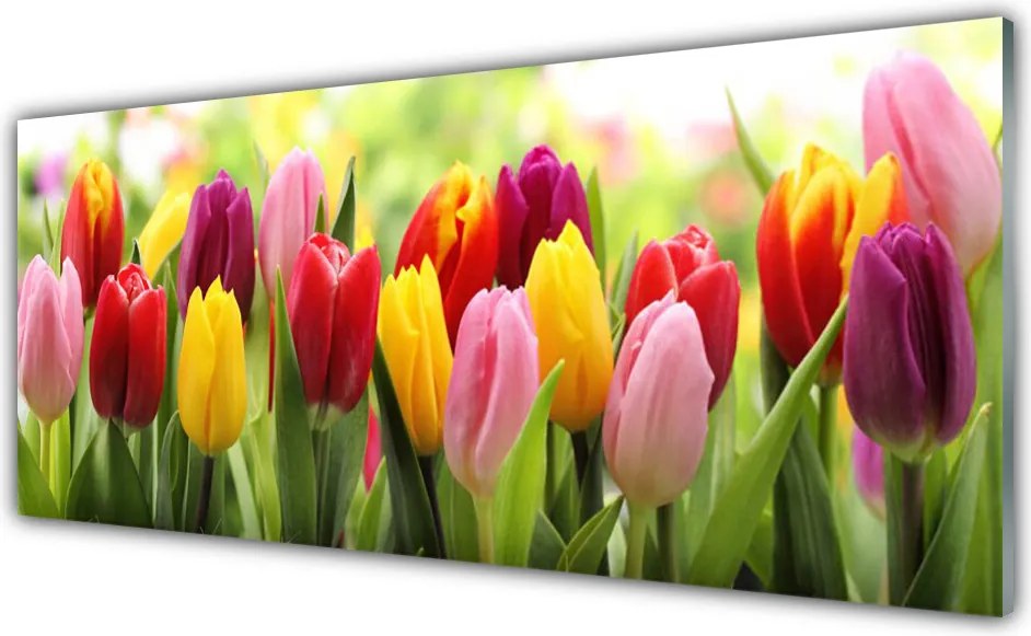 Panel Szklany Pastelowy Bukiet Tulipanów