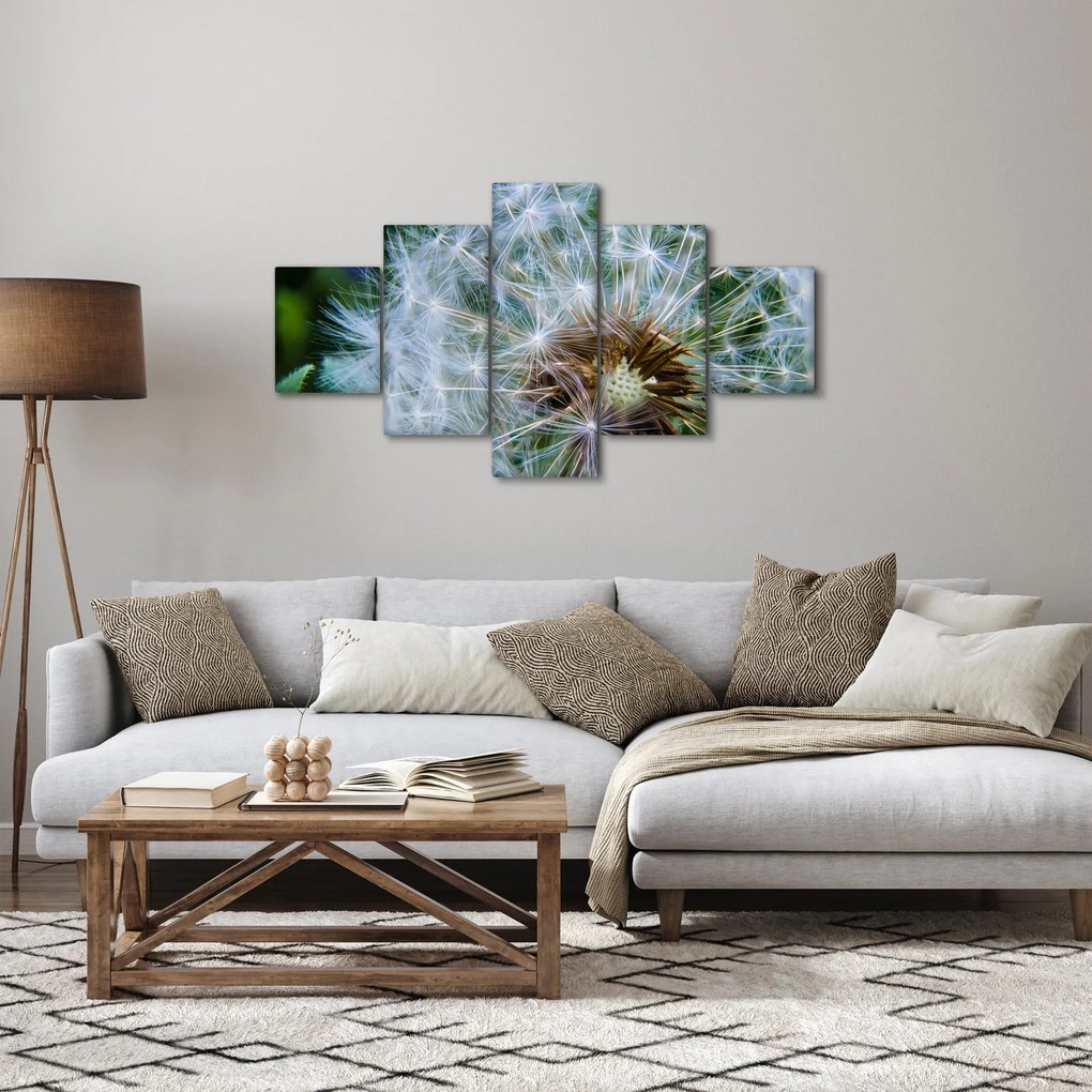 Obraz przekwitniętego dmuchawca (125x70 cm)