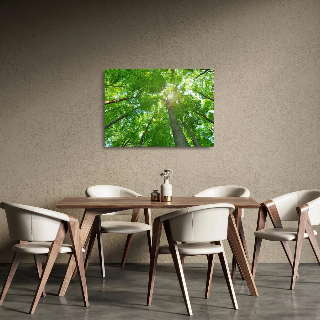 Obraz na szkle - Las (70x50 cm)