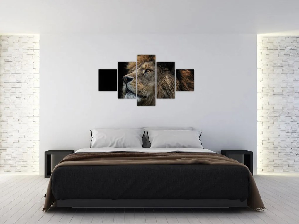 Obraz - Majestatyczny lew (125x70 cm)