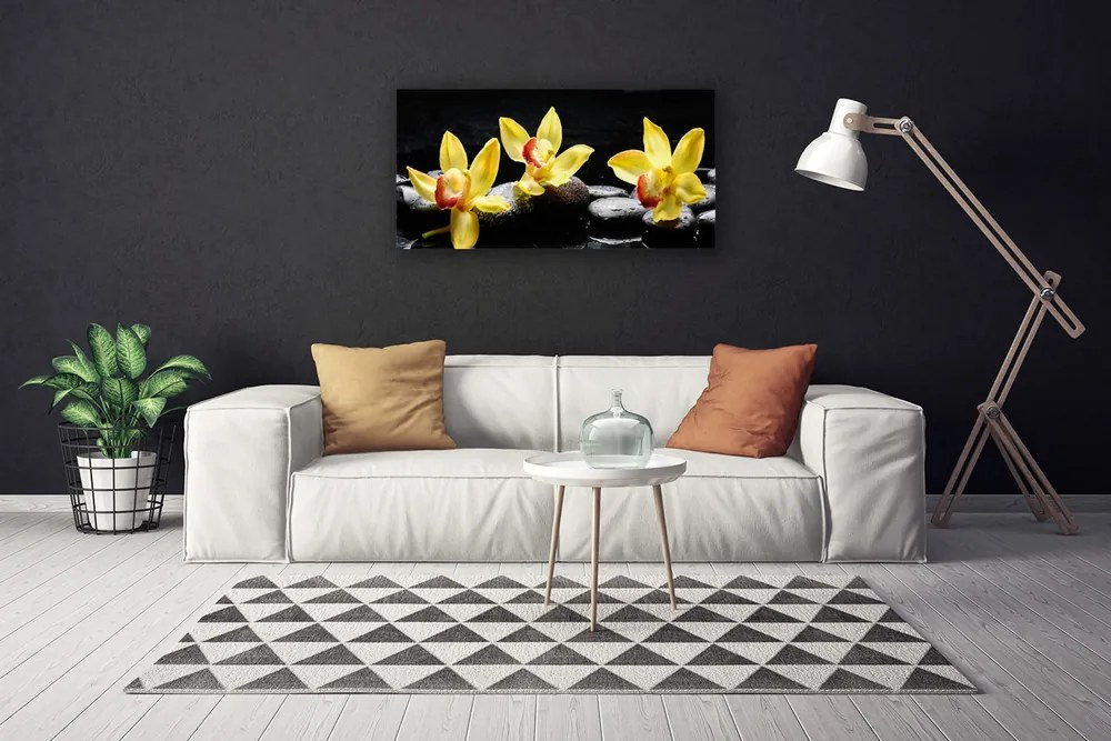 Obraz Canvas Kwiat Orchidea Roślina