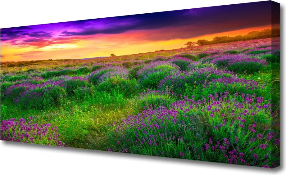 Obraz na płótnie Bezkres Zielonej Łąki