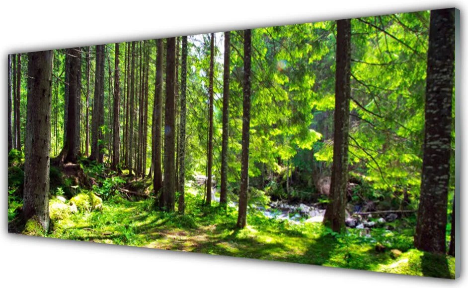 Szkło Dekoracyjne do Kuchni Gęstwina Leśnej Natury