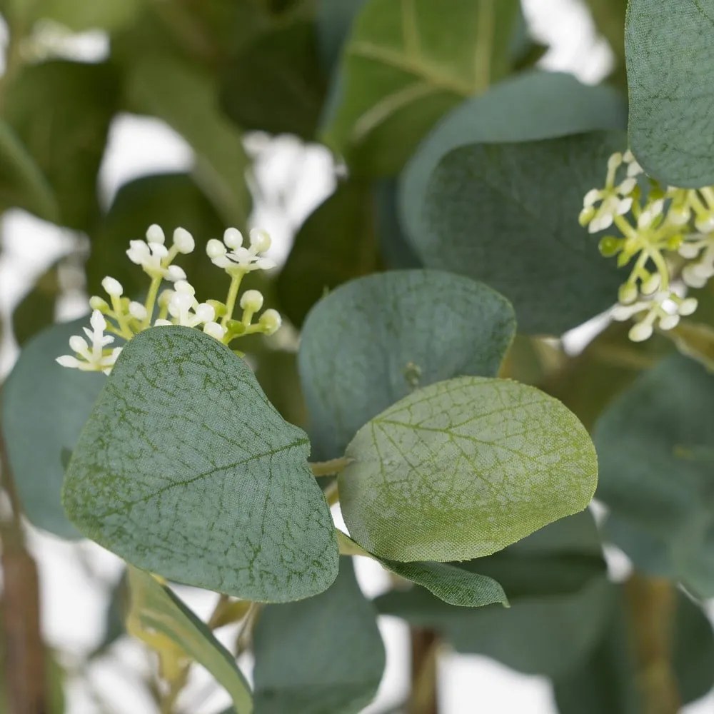 Sztuczny eukaliptus (wysokość 173 cm) Eucalyptus – Ixia