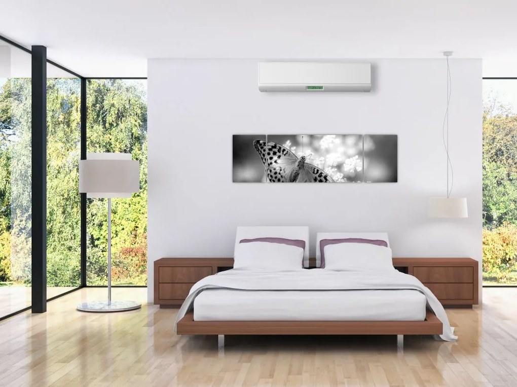 Obraz - Szczegół motyla zapylającego kwiat (170x50 cm)