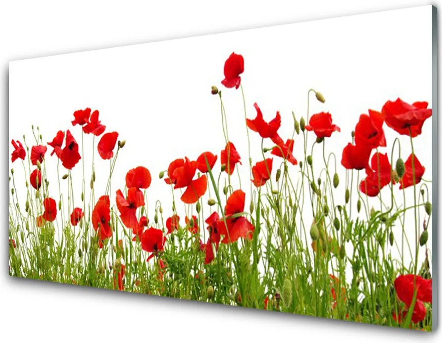 Szkło Ozdobne do Kuchni Dywan Czerwonych Maków na Łące