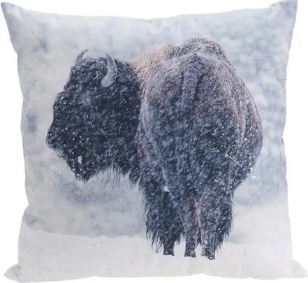 Poduszka Bizon, 45 x 45 cm