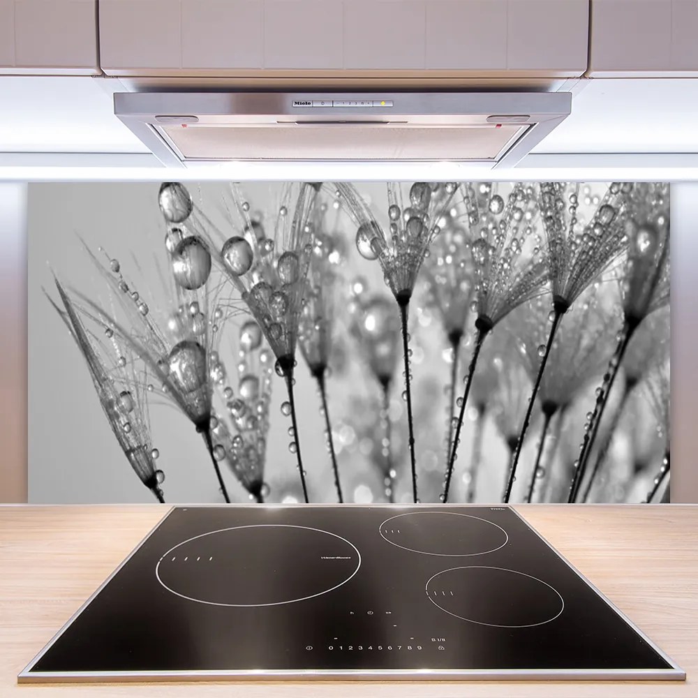 Panel Kuchenny Ulotność Mniszka Lekarskiego