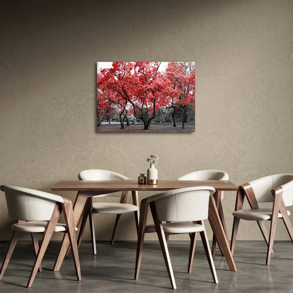 Obraz - Czerwone drzewa, Central Park, New York (70x50 cm)