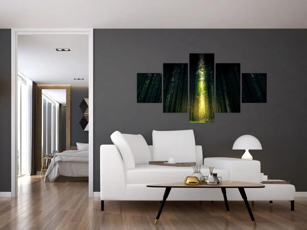 Obraz ciemnego lasu (125x70 cm)