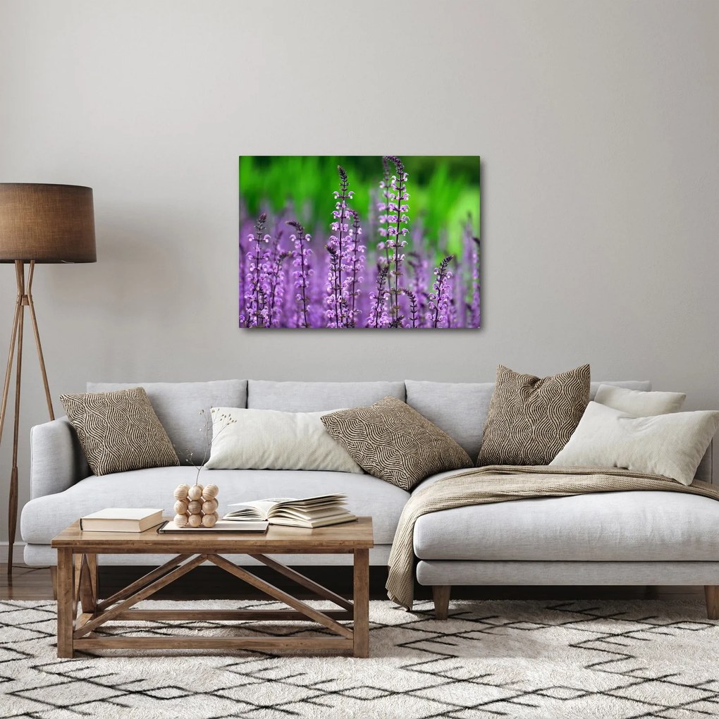 Obraz fioletowych kwiatów polnych (70x50 cm)