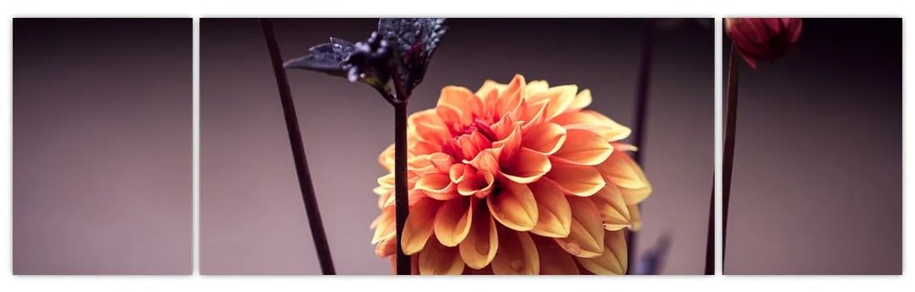 Obraz - Kwiat (170x50 cm)