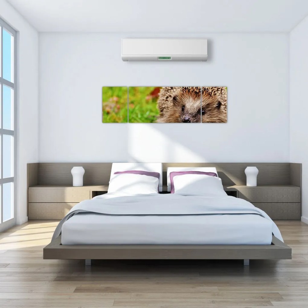 Obraz jeża (170x50 cm)
