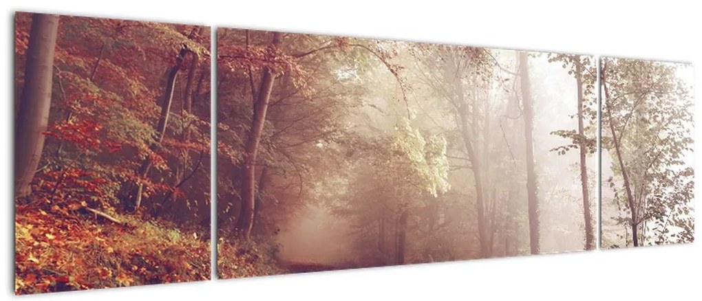 Obraz - Jesienny spacer po lesie (170x50 cm)
